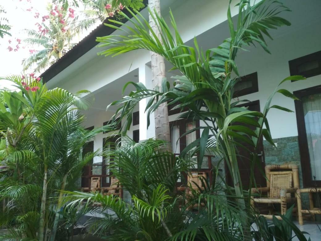 Almaida II Gili Trawangan Bed & Breakfast Bagian luar foto